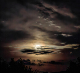Full moon rising over tree branches © Patryk Kosmider