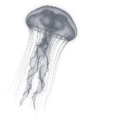Minimalist halftone jellyfish illustration on white background © IvanMasyudi