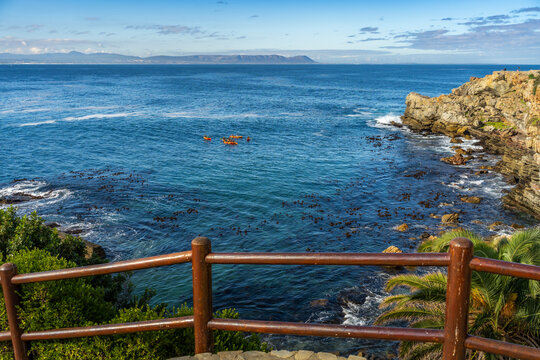 Kayakers paddle through the blue Atlantic Ocean at Gearings Point, Hermanus, on South Africa&rsquo;s Whale Coast in the Overberg, Western Cape, with scenic coastal views and adventure travel appeal.