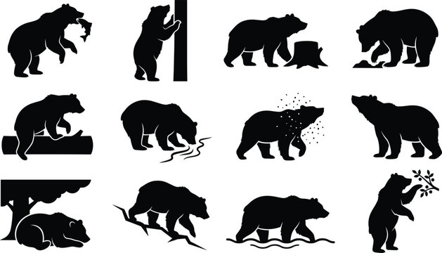 Black silhouettes of bears in various poses and actions on white background animals