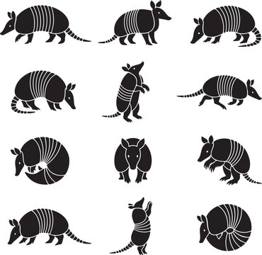 Set of armadillo silhouettes in various poses and actions with armadillo wildlife silhouette