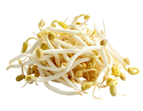 bean sprouts isolated on transparent png