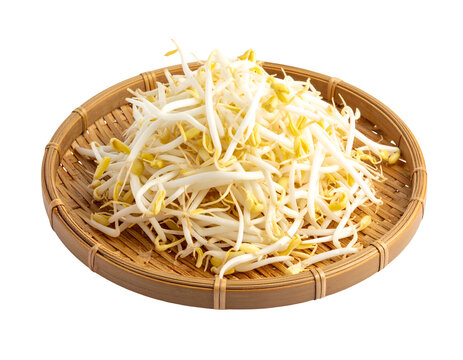 bean sprouts on wooven bamboo plate isolated on transparent png