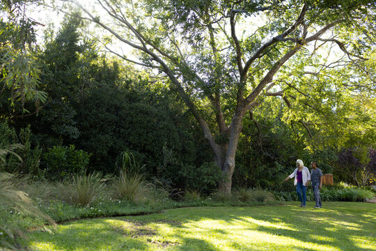 Senior and adult female friends walking, pointing at ornamental grass in sunlit garden, copy space