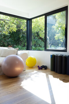 Pale pink stability ball is resting on wood floor beside sofa by corner windows with dumbbells