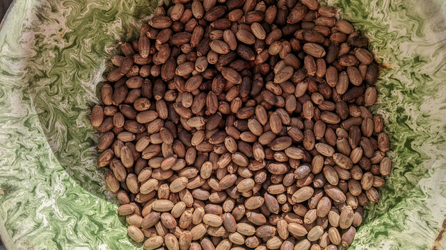 Fresh melinjo seeds or Gnetum gnemon in a green metal bucket with a marble pattern, ready to be processed into a crunchy and savory Indonesian snack.