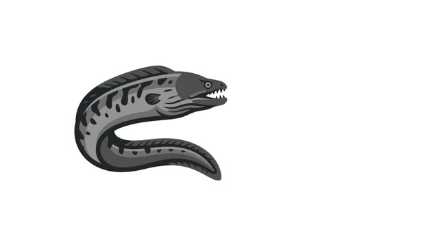 Moray eel aquatic predator illustration