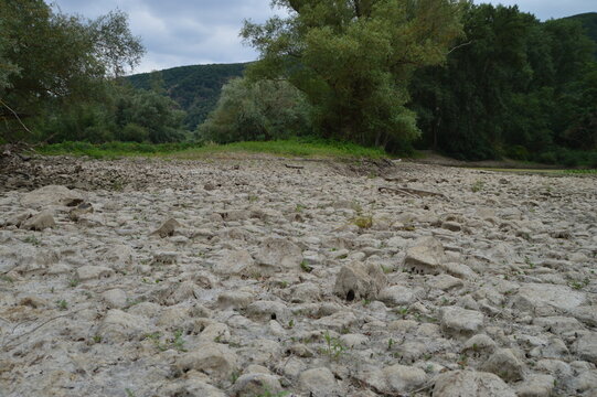 A dry riverbed during a drought in Germany, Rhine river