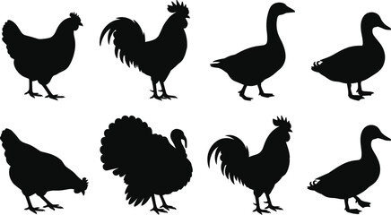 Poultry farm animal silhouette vector set featuring chicken, rooster, turkey, goose, and duck icons © SELIMREZA