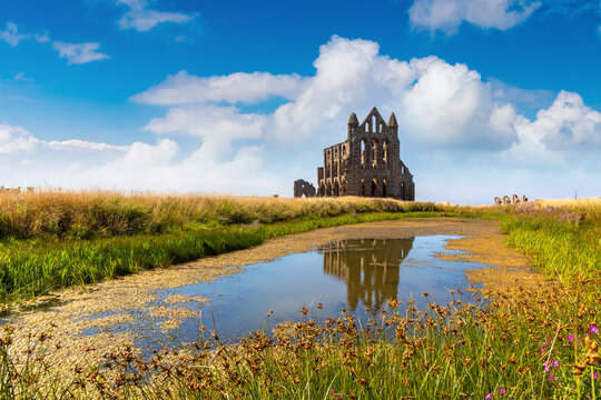 Historic medieval Whitby Abbey Ruins Reflected in Pond in Whitby, England, UK