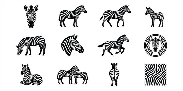 Set of zebra silhouettes and stripe patterns for design elements with wildlife silhouette collection elements isolated standing illustration