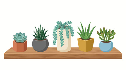Fototapeta premium Set of diverse indoor potted plants on a wooden shelf, modern houseplant collection vector illustration