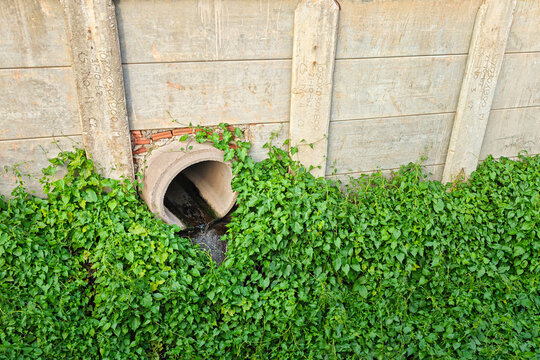An industrial waste water is draining into public sewer, it surrounded by wild green plants. Representing urban water pollution, sewage system management. Environmental impact from industrial activity
