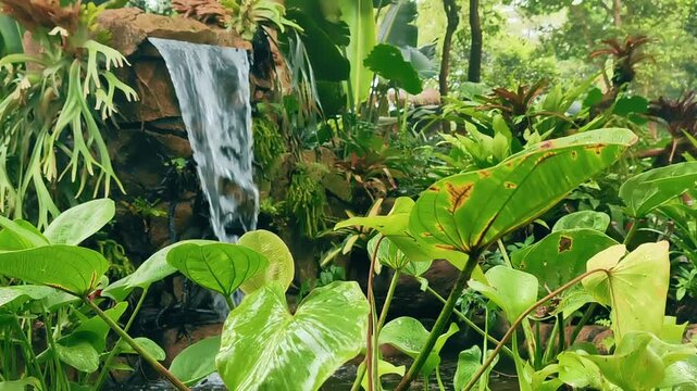 Serene Tropical Waterfall Surrounded by Lush Green Vegetation and Exotic Foliage in a Hidden Forest Garden Oasis