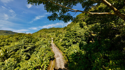 Mountain road winding through lush tropical rainforest. Dense jungle and distant wind turbines create a striking landscape for travel and nature themes. © Houston