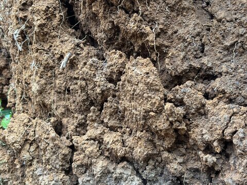 Macro view of cloddy brown soil texture showing small roots and organic earth structure.