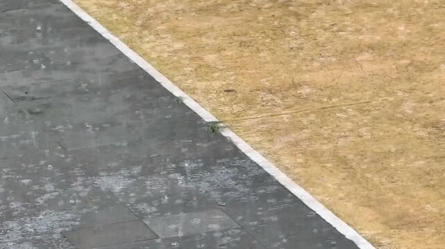 Close-up of paved stone tiles and dry yellow grass divided by a white painted border line
