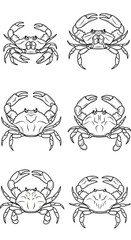 Obraz premium Set of Six Detailed Crab Line Art Illustrations