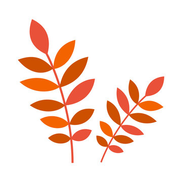 Autumn red leaves tree branches isolated on white background, Vector Illustration.