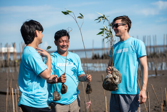 Volunteer Mangrove Restoration Team Participating In Coastal Tree Planting During World Environment Day Sustainability Campaign