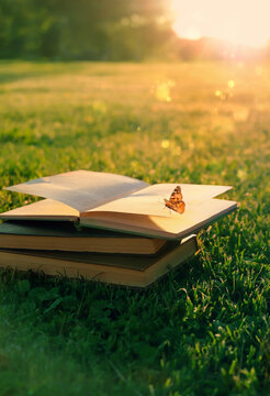 old books and butterfly close up on green lawn, sunny natural abstract background. leisure time for reading. knowledge concept. World Book and Copyright Day, 23 April. template for design. copy space