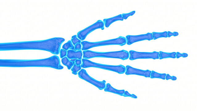 Blue X-ray-style 3D medical illustration of human hand bones and wrist skeleton