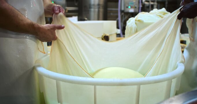 Slow Motion Of Hands stretching elastic cheese curd inside a copper vat during traditional artisan cheese production. Cheesemaker Stretching Fresh Curd in Traditional Copper Vat