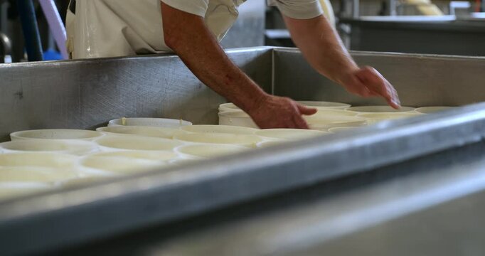 Slow Motion Shot of Dairy Worker Arranging White Cheese Molds in Production Facility. Industrial cheese production, organization, food manufacturing.