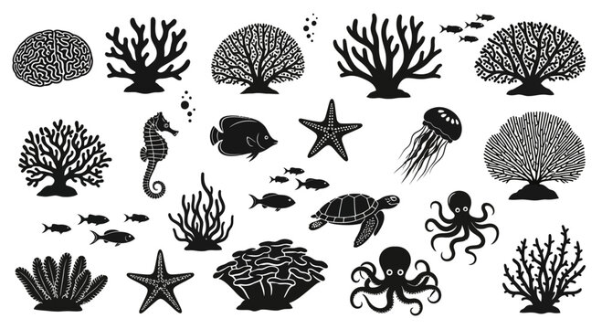 Set of Marine Life Silhouettes Including Corals Fish and Sea Creatures