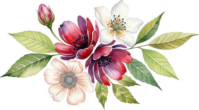 A delicate watercolor floral arrangement featuring vibrant red deep purple and soft cream flowers with green leaves and a single pink bud 178 characters watercolor flowers