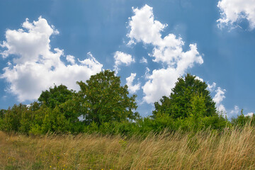 Fototapeta premium Ein strahlend blauer Himmel über dem Kronsberg und Hannover-Bemerode lädt ideal zu Outdoor-Aktivitäten ein