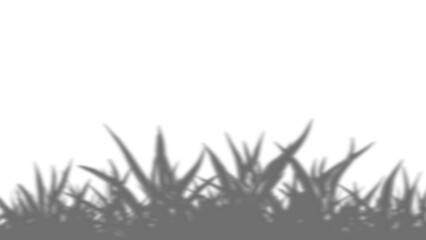 Silhouette of A Fresh, grass blades standing upright against a background © Wave