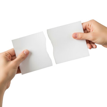 Torn paper held by hands on white background, ripped document pieces for divorce or contract termination, blank white card being pulled apart