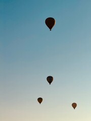 Fototapeta premium Flying hot air balloons in Cappadocia. Nevsehir,Turkey.