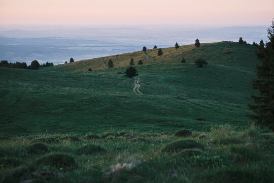 A serene landscape of rolling green hills at dusk or dawn, with a winding path leading up a slope. Scattered evergreen trees add depth to the tranquil, expansive scenery, evoking peace.