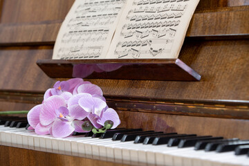 Elegant pink orchid flowers resting on the keys of a vintage upright piano with public domain sheet music on the music stand. Warm natural light and rustic wooden texture create a romantic atmosphere © NataSao