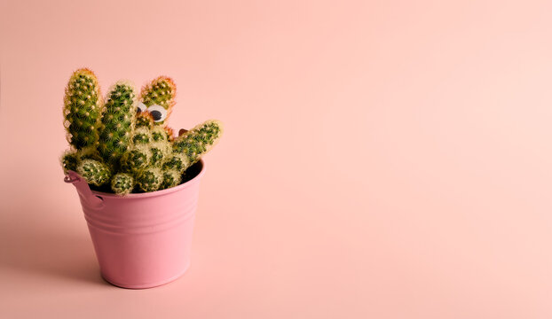 Playful Cactus with Googly Eyes