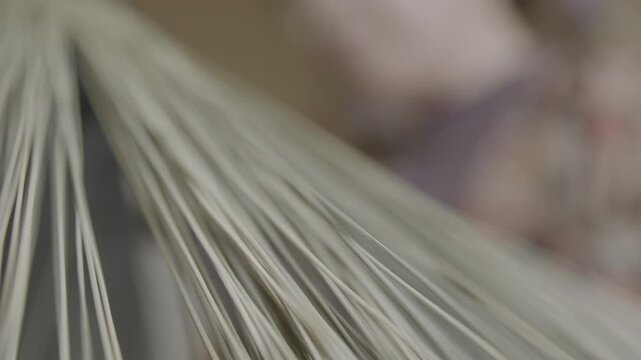 Close-Up of Straw Fibers for Bon Odori Hat Making in Ugo Town Akita Pr
