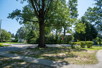 Obraz premium Haverford Park (playground)