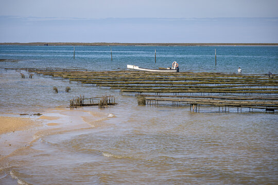 Fishing nets on beach on Culatra Island, Ria Formosa Natural Park, Olh&atilde;o, Algarve, Portugal