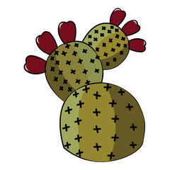 vector illustration of a cactus © syania