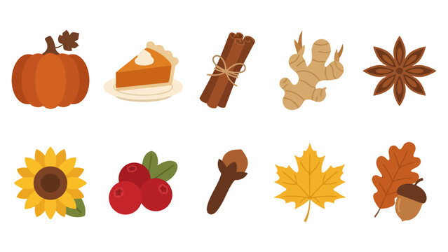 Set of cute autumn icons including pumpkin pie cinnamon ginger star anise leaves and berries Vector