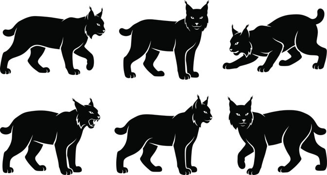 Lynx silhouettes, wildcat icons, bobcat illustrations, predator figures, forest animal shapes, feline collection, wilderness nature graphics, hunting cat poses, black animal symbols.