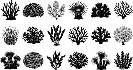 Marine coral reef silhouettes including brain coral, sea anemones, seaweed, and various underwater plant species for aquarium and ocean life, set © MstSumi