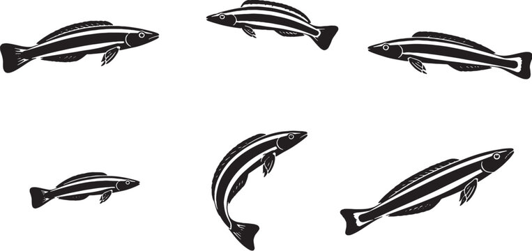 Cleaner Wrasse Silhouette Icon Set Black Vector Tropical Reef Fish Collection