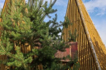 Modern tall wooden structures of a kids attraction shaped like teepees, surrounded by a green pine tree. Built from natural logs, the construction features a suspended mesh tunnel for active play. © Олег Струс
