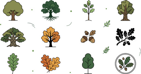 Oak Tree Species and Autumn Forest Botany Flat Line Icon Set Featuring Mature Oaks, Exposed Root Systems, Acorns, and Foliage Leaf Symbols © MdBiplob