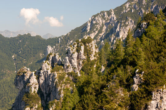 Rugged limestone mountain peaks and dense green alpine forests define this wild natural tourism landscape for outdoor exploration, Julian Alps Natural Park, Alba Valley, Friuli Venezia Giulia, Italy.