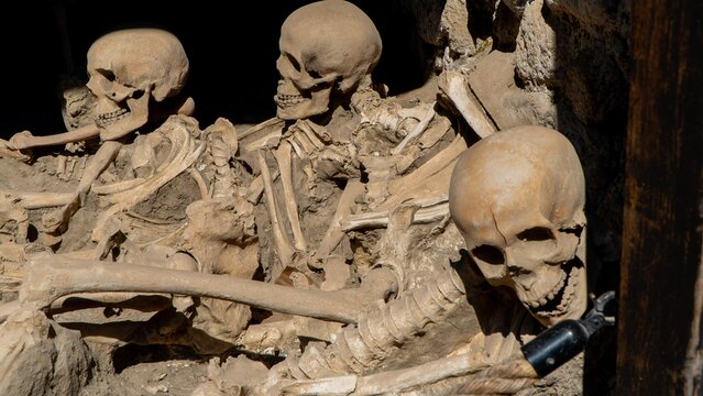 Archaeological excavations of Herculaneum skeletons