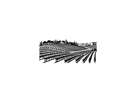 Modern Minimalist Abstract Vineyard Vector Art